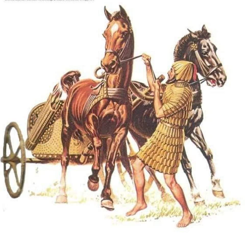 Египетская Боевая колесница